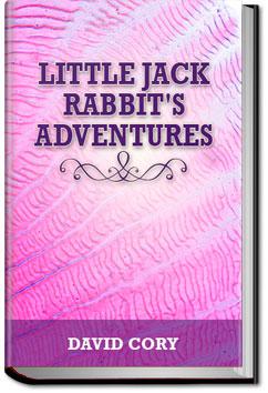 Little Jack Rabbit's Adventures | David Cory
