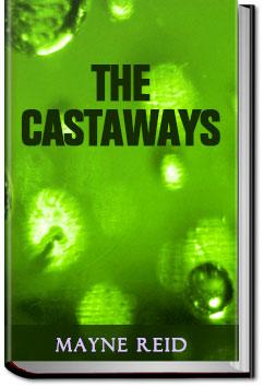 The Castaways | Mayne Reid