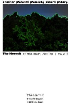 The Hermit | Mike Bozart