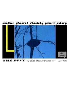 The Punt | Mike Bozart