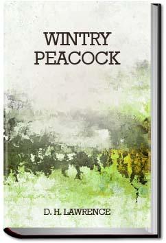 Wintry Peacock | D. H. Lawrence